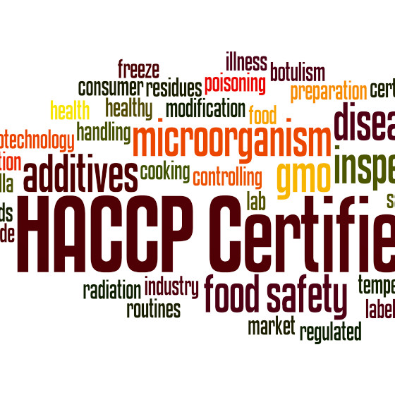 Asesorías y Consultoría